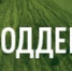 О семье, для семьи  и во благо семьи - Медиа-центр Крапивинского округа